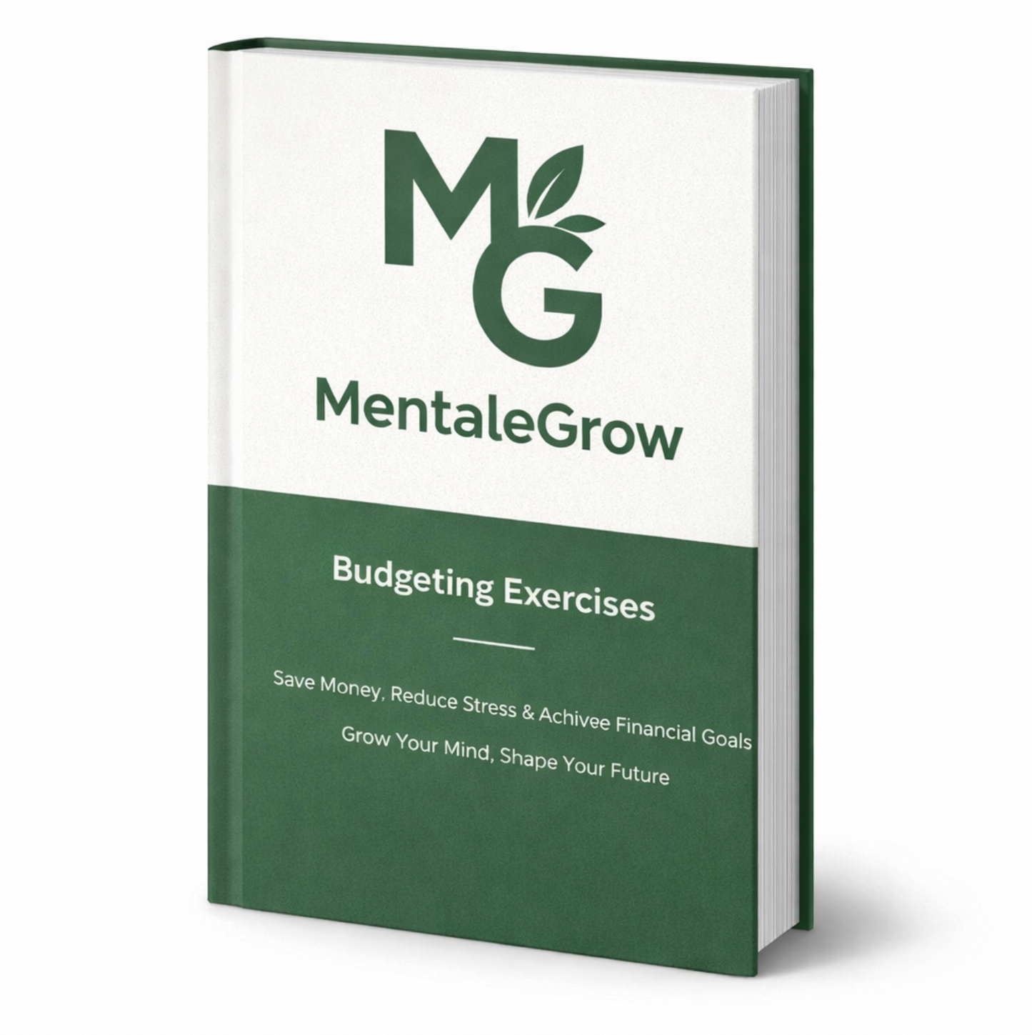 BudgetEntry™ | Budgeting Exercises